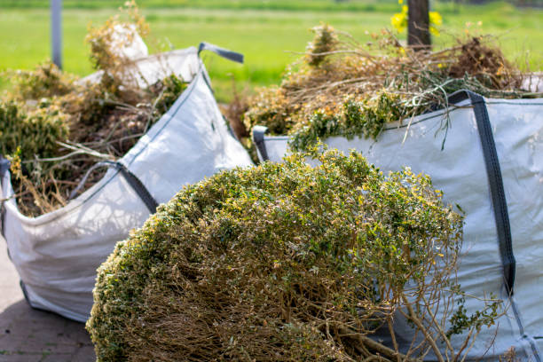 Best Dumpster Rental Services  in Kenyon, MN