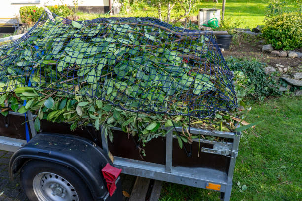 Best Estate Cleanout  in Kenyon, MN